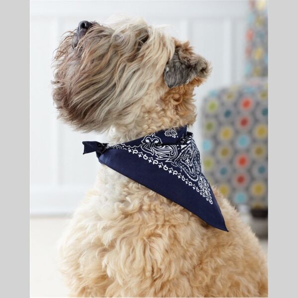 USA-Made Doggie Bandana Thumbnail