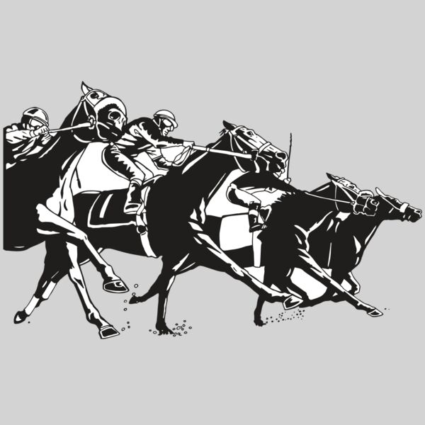 AR EQUEST 13 RC Thumbnail