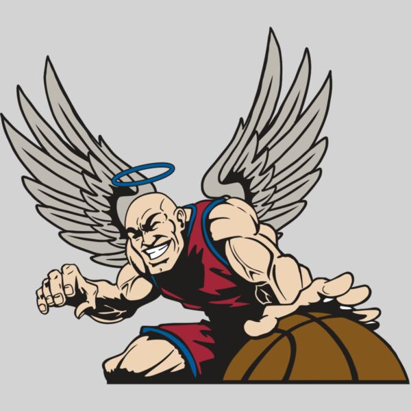 AR17 ANGEL BSKT 04 RQC Thumbnail