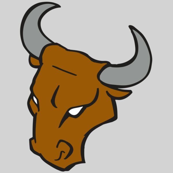 AR BULL 28 RC Thumbnail