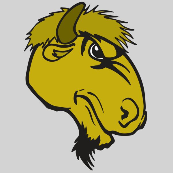 AR BUFFALO 14 RC Thumbnail