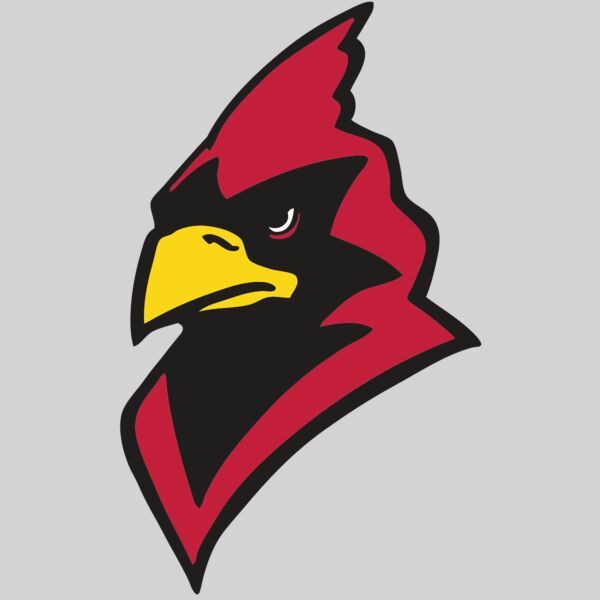 AR CARDINAL 22 RC Thumbnail