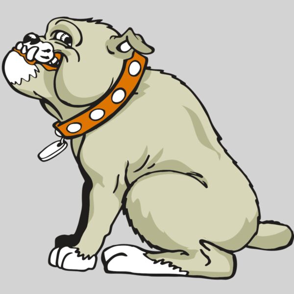 AR BDOG 26 RC Thumbnail