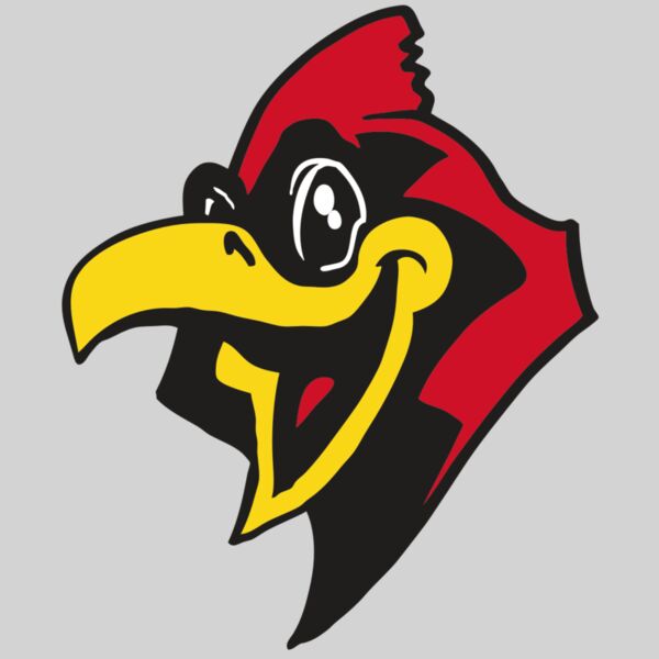 AR CARDINAL 36 RC Thumbnail