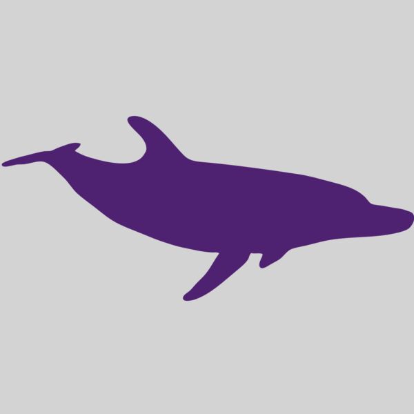 AR DOLPIN 12 RC Thumbnail