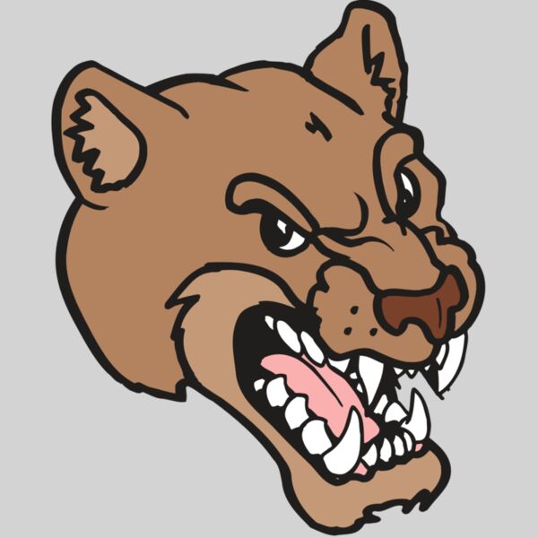 AR5 COUGAR 12 RQC Thumbnail