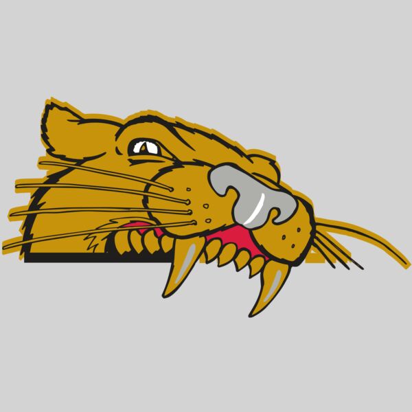 AR COUGAR 73 RC Thumbnail