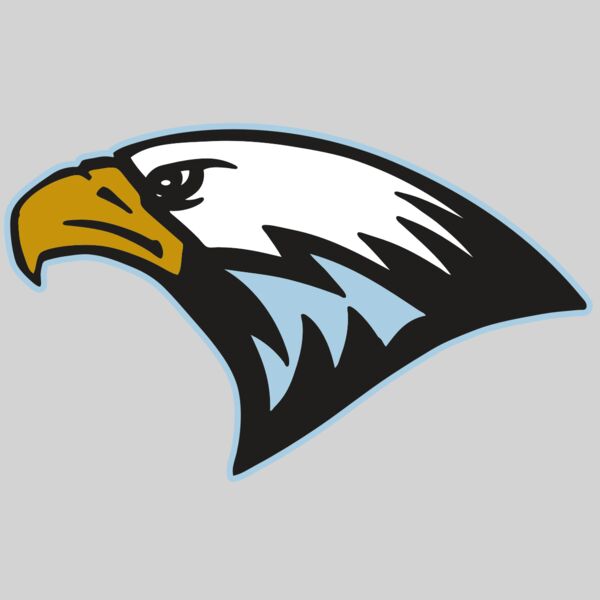 AR EAGLE 27 RC Thumbnail