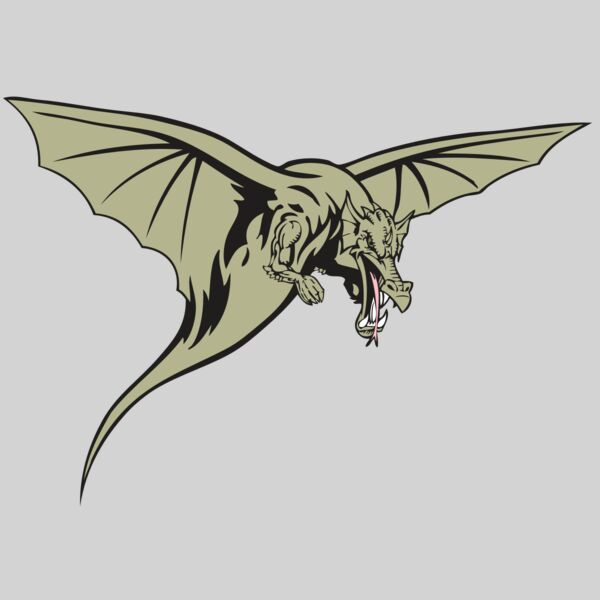 BAW DRAGON 12 RC Thumbnail