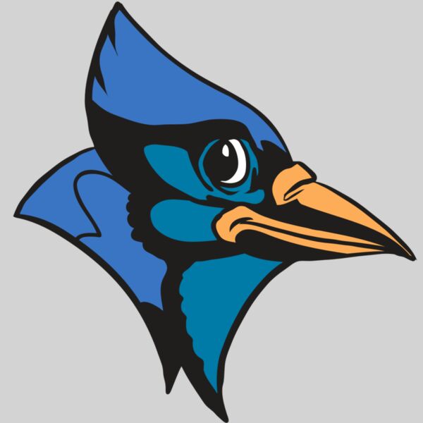 AR31 BLUEJAY 04 RQC Thumbnail