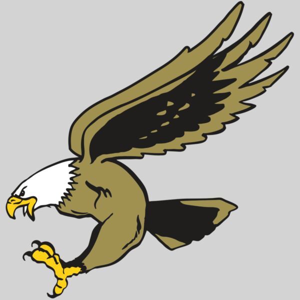 AR EAGLE 23 RC Thumbnail