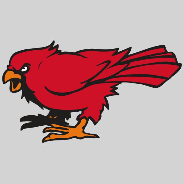 AR CARDINAL 59 RC Thumbnail