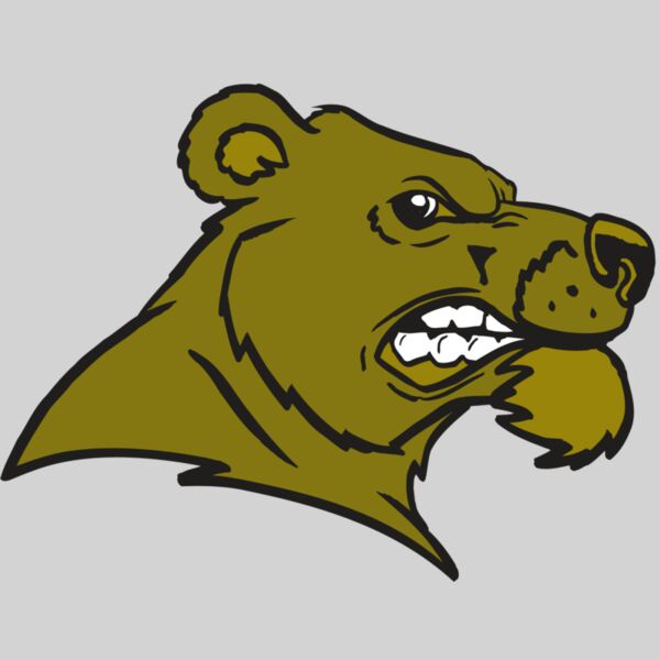 AR BEAR 11 RC Thumbnail