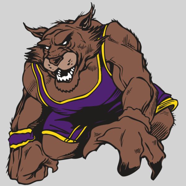 AR WILDCAT 23 RC Thumbnail