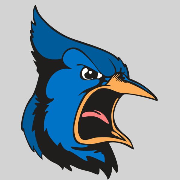 BAW BLUEJAY 03 RC Thumbnail