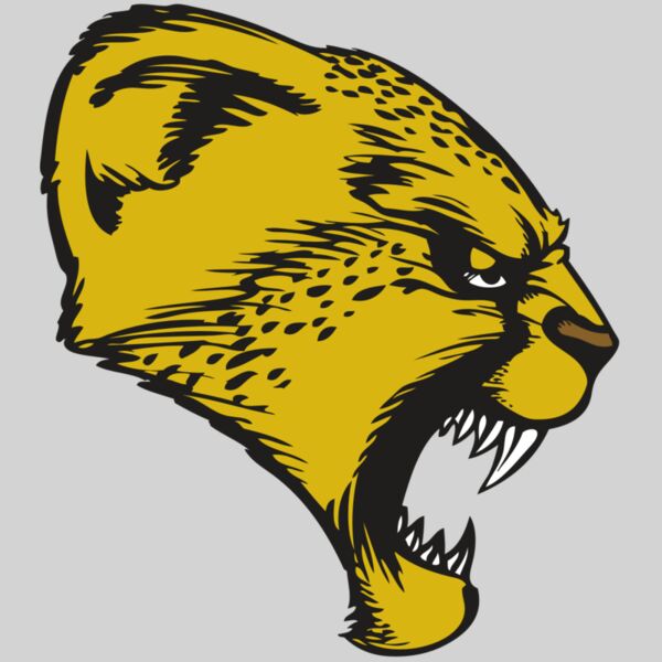 BAW CHEETAH 13 RC Thumbnail