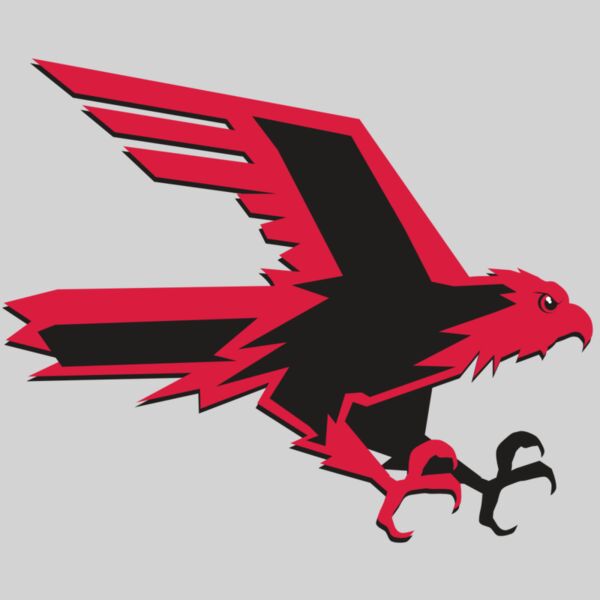 AR9 FALCON 02 RQC Thumbnail