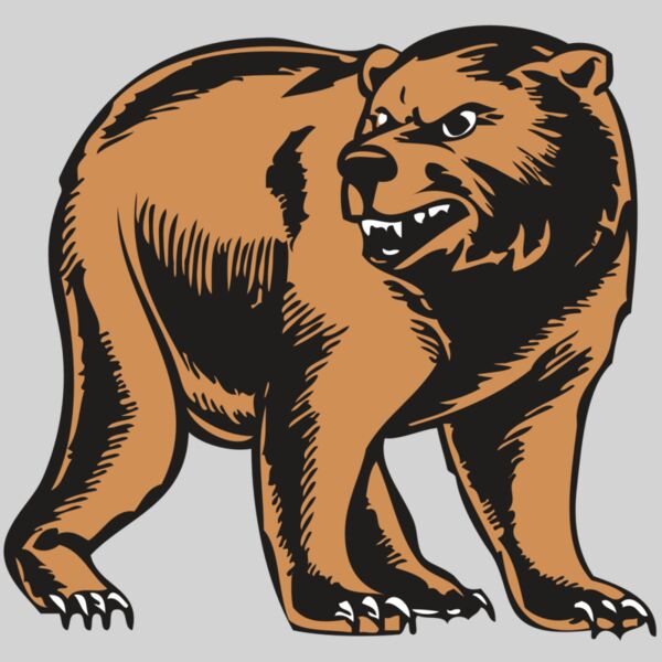 BAW BEAR 09 RC Thumbnail