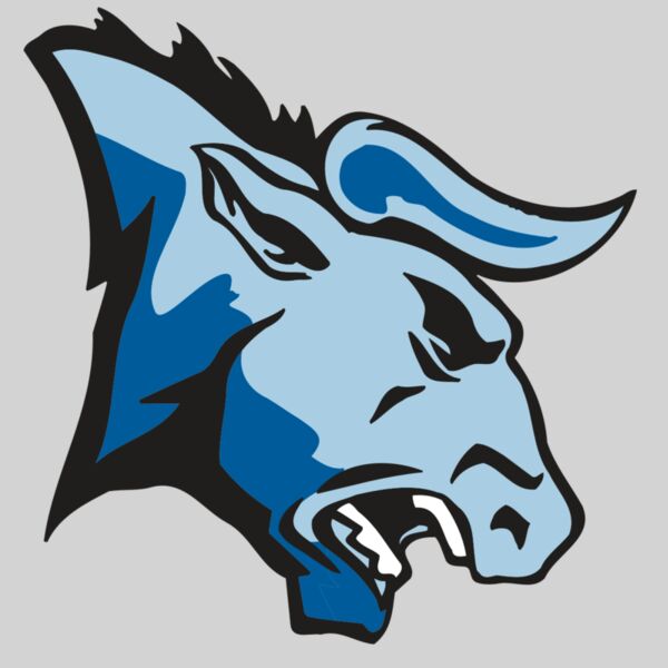 AR BULL 20 RC Thumbnail