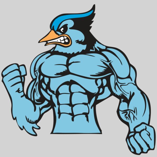 BAW BLUEJAY 16 RC Thumbnail