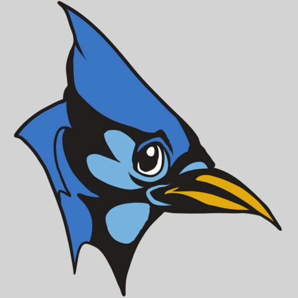 AR31 BLUEJAY 03 RQC Thumbnail