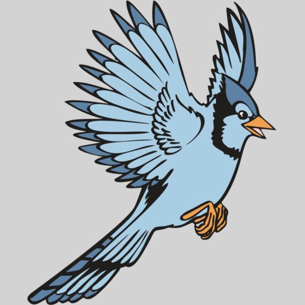 BAW BLUEJAY 12 RC Thumbnail