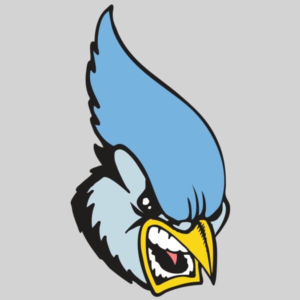 BAW BLUEJAY 05 RC Thumbnail