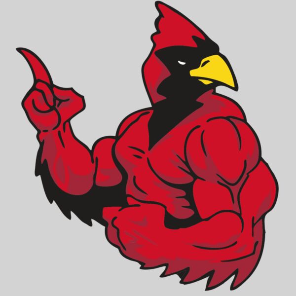 AR CARDINAL 28 RC Thumbnail