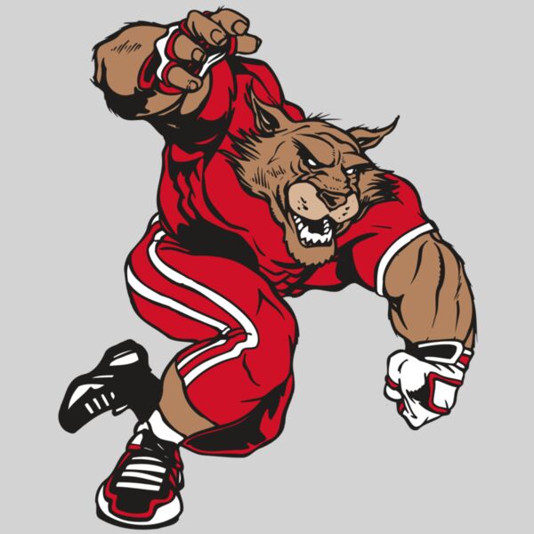 AR WILDCAT 32 RC Thumbnail