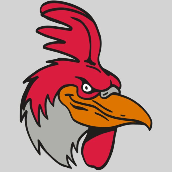 AR5 Gamecock 05 RQC Thumbnail