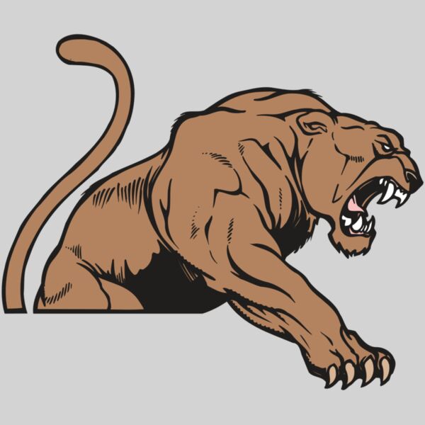 AR COUGAR 55 RC Thumbnail