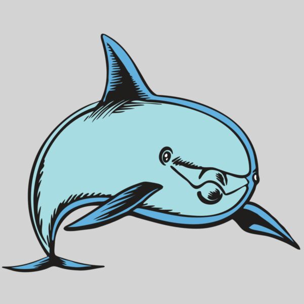 BAW DOLPHIN 04 RC Thumbnail