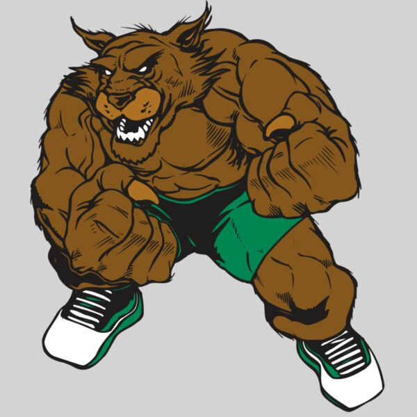 AR WILDCAT 45 RC Thumbnail