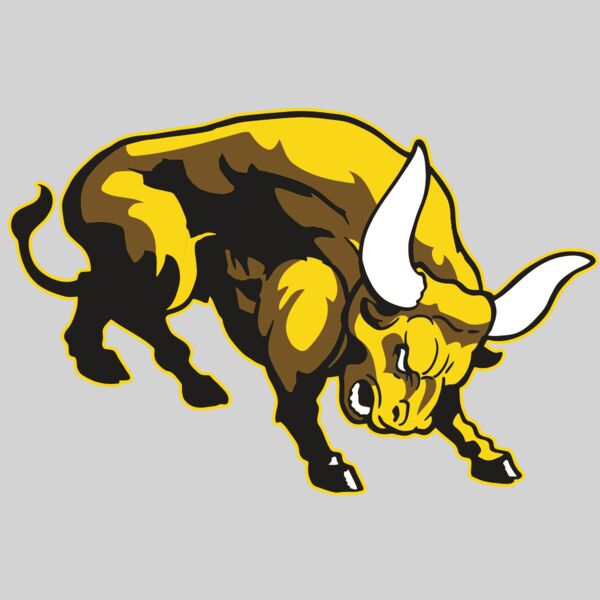 AR BULL 57 RC Thumbnail