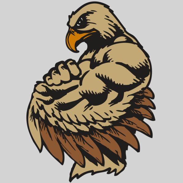 BAW HWK FLCN 02 RC Thumbnail