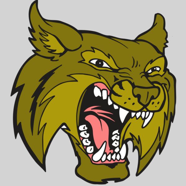 AR5 BOBCAT 20 RQC Thumbnail