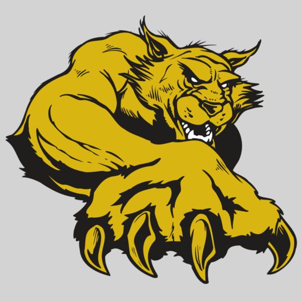 AR WILDCAT 26 RC Thumbnail