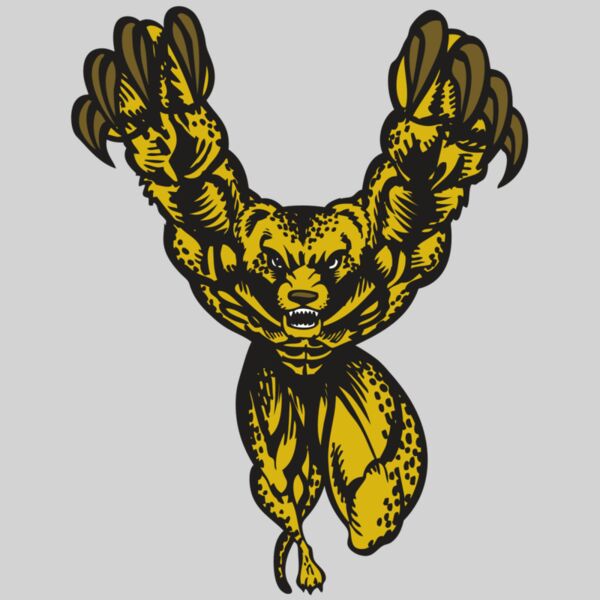 BAW CHEETAH 09 RC Thumbnail