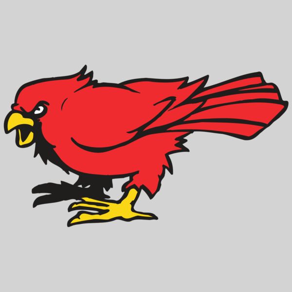 AR CARDINAL 11 RC Thumbnail