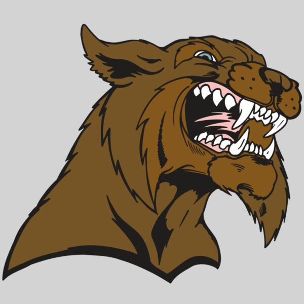 AR5 BOBCAT 21 RQC Thumbnail