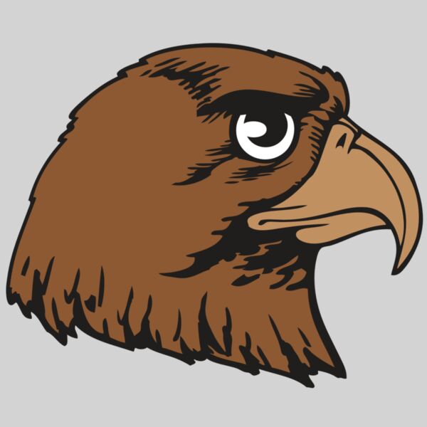 BAW HWK FLCN 05 RC Thumbnail