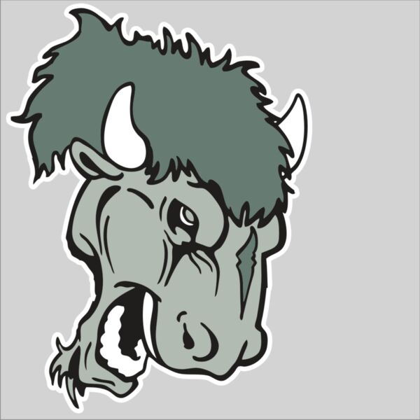 AR BUFFALO 19 RC Thumbnail