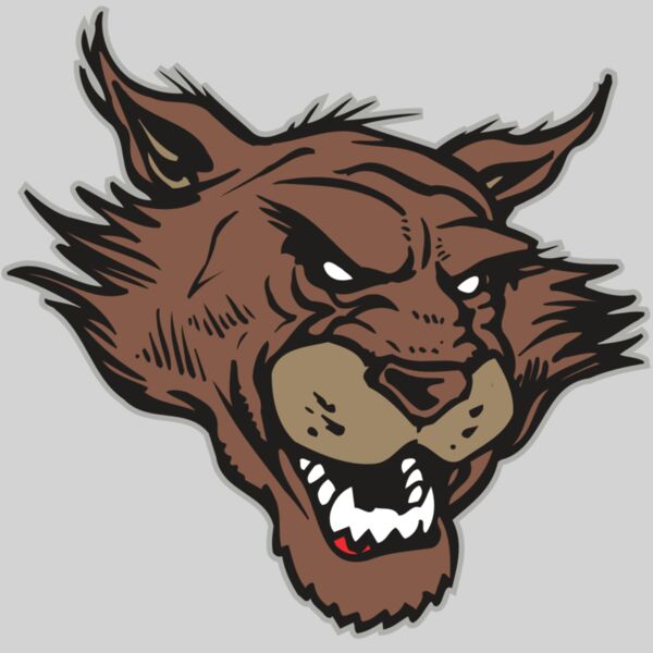 AR WILDCAT 11 RC Thumbnail