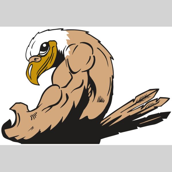 AR EAGLE 85 RC Thumbnail