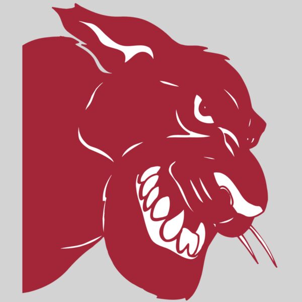 AR5 COUGAR 37 RQC Thumbnail