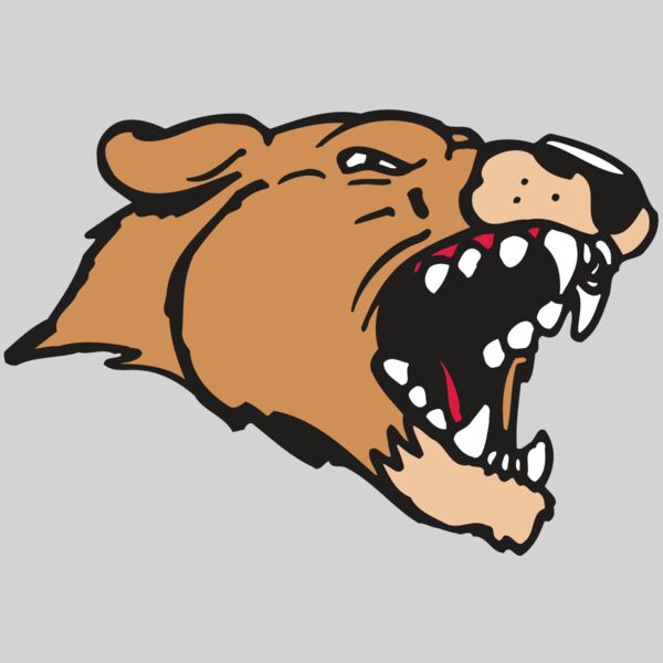 AR5 COUGAR 33 RQC Thumbnail