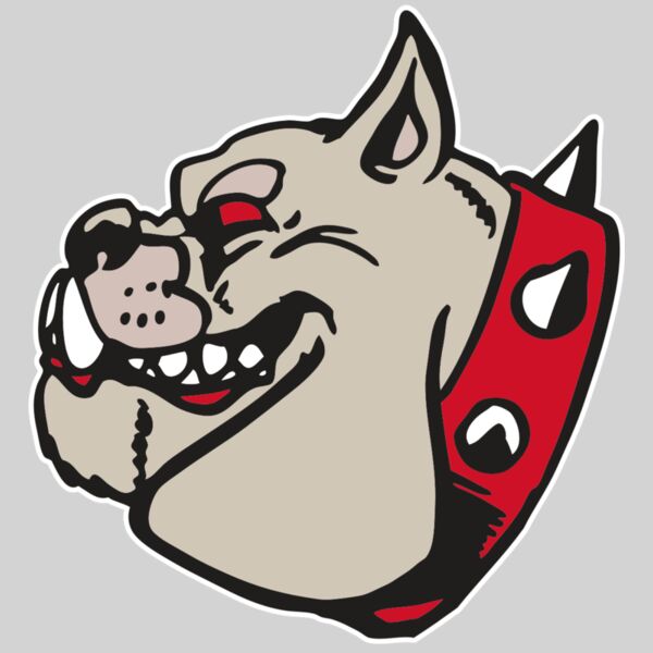 AR BDOG 47 RC Thumbnail