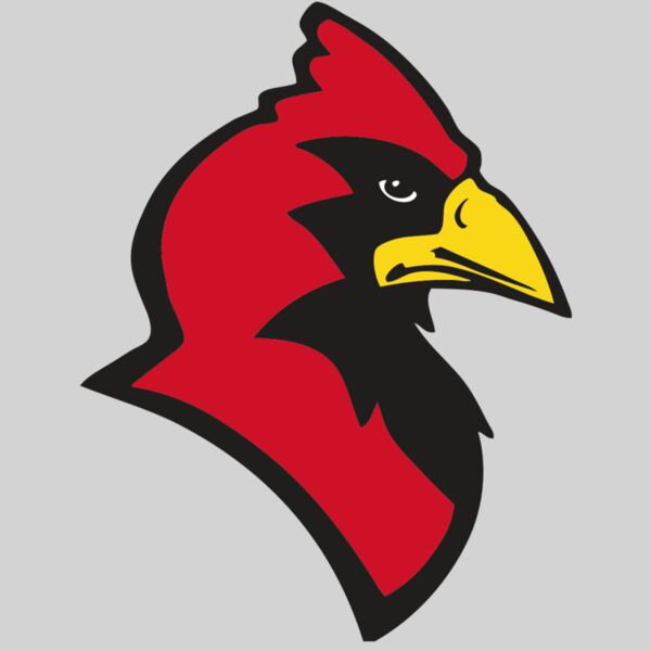 AR CARDINAL 20 RC Thumbnail