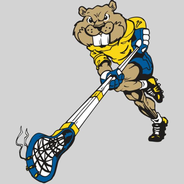 AR8 BEAVER 02 RQC Thumbnail