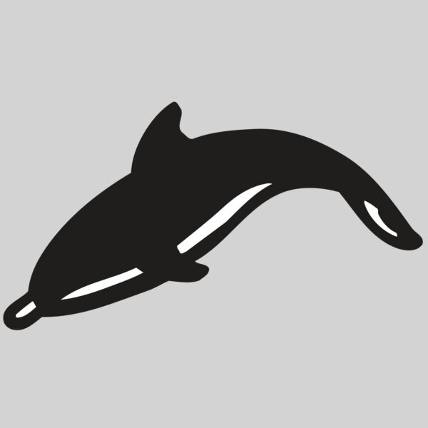 AR DOLPIN 16 RC Thumbnail